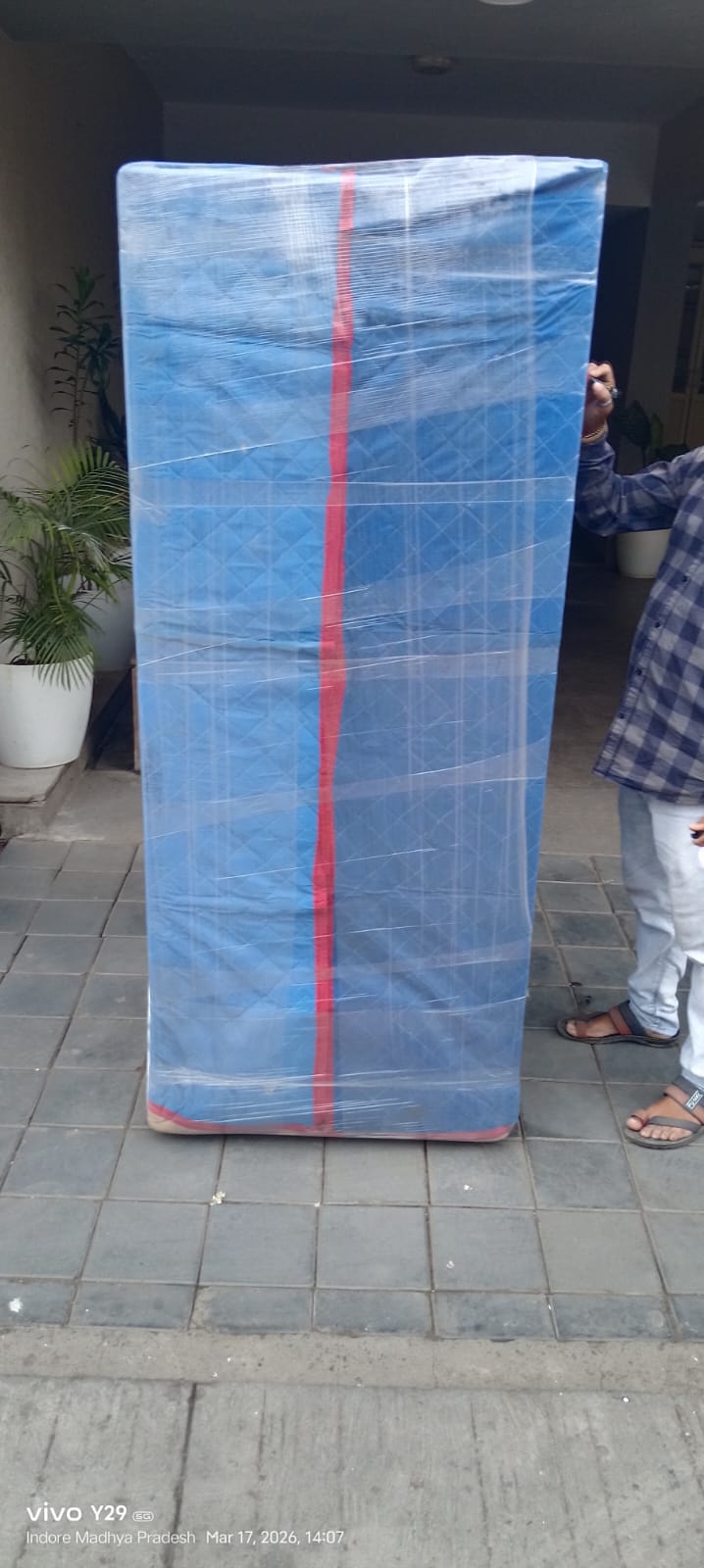 jeevanya3